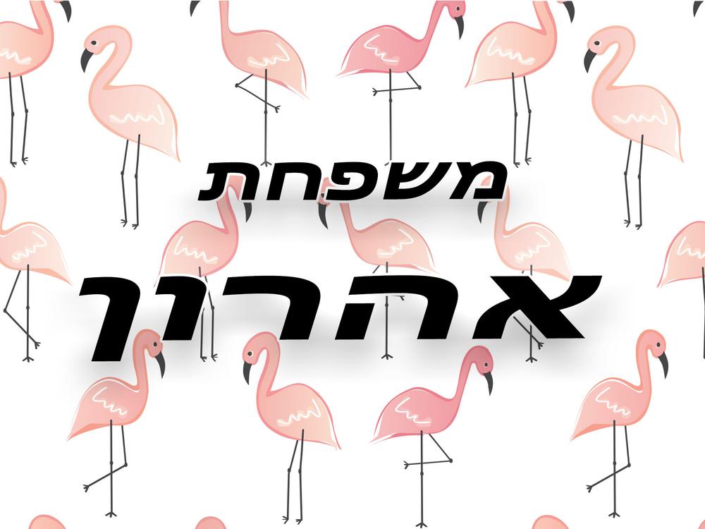 עיצובי מלבן שלג