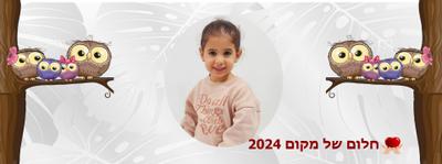 עיצוב - חלום של מקום 2024 - ינשופים גרסה ב