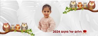 עיצוב - ינשוף צבעוני